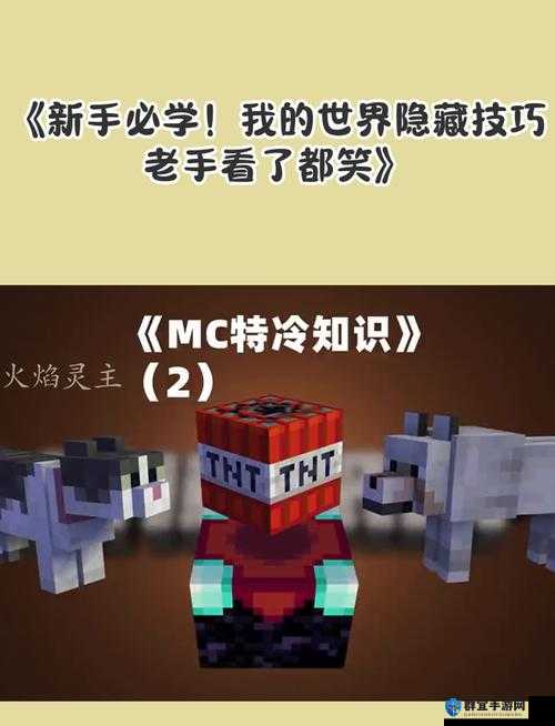 我的世界获取经验的全新方式大公开！爆肝整理5个隐藏技巧让你效率翻倍