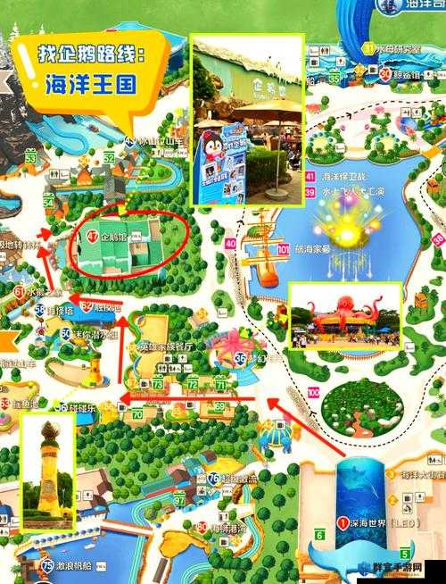 企鹅岛绝美打卡攻略！这份路线图让你避开所有坑