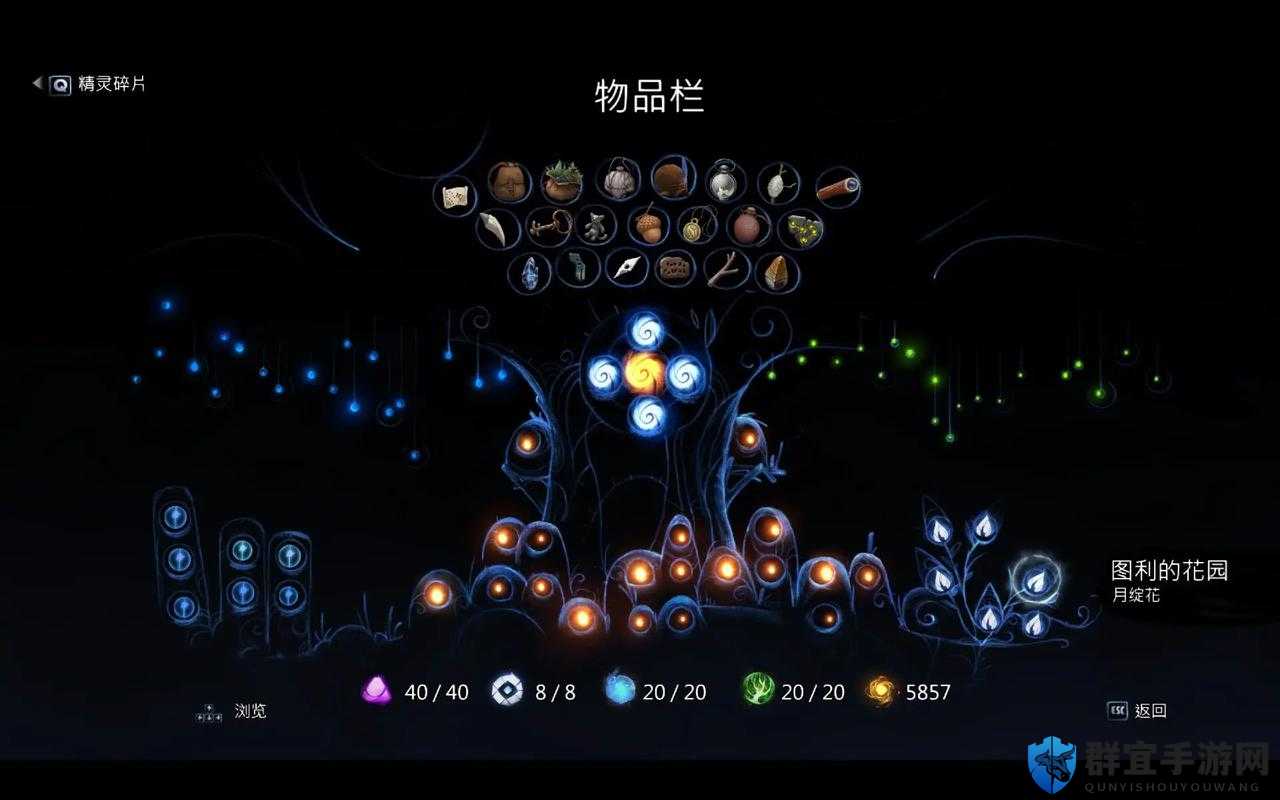 奥日与萤火意志奥秘精灵碎片速刷技巧！隐藏路线+全收集攻略