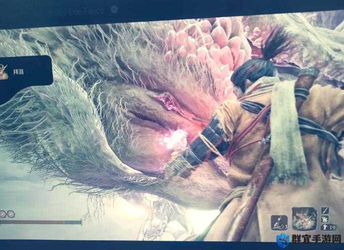 必看！只狼老太太隐藏功能大揭秘，通关必备神级NPC解析