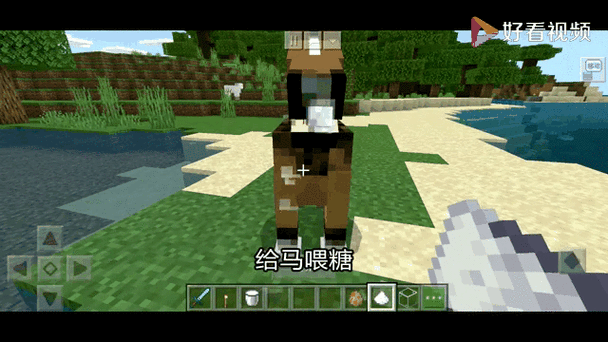 我的世界骑马教学_骑马方式方法_萌新秒变驯马大师！