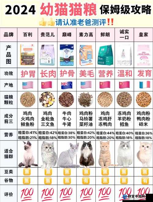 魔方世界宠物有多萌？宠物粮食图鉴+养宠必看清单大公开！