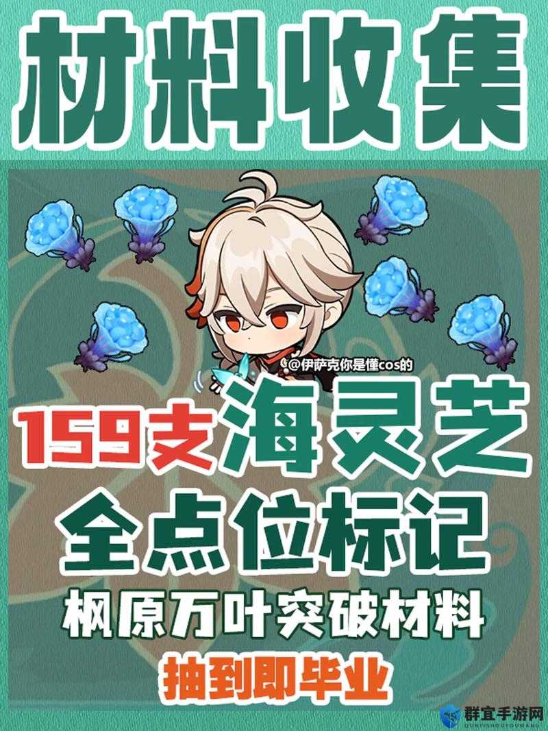爆肝整理！海灵芝采集全攻略_3分钟刷满材料的隐藏技巧