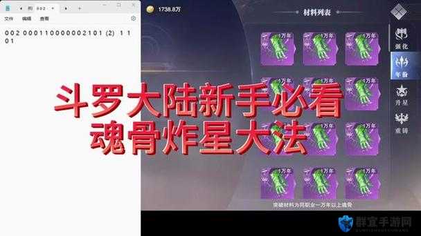 斗罗大陆大魂师速成指南！这些隐藏技巧让你战力飙升必看