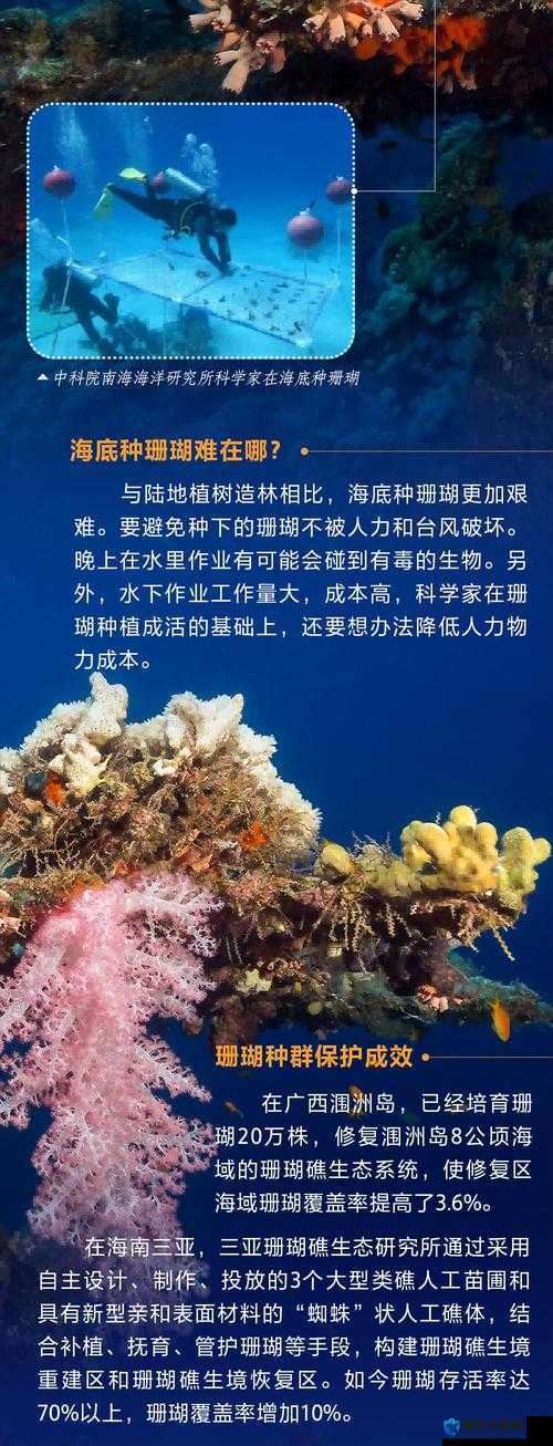 魔法深海珊瑚竟然这么有用？这些秘密你一定要知道！