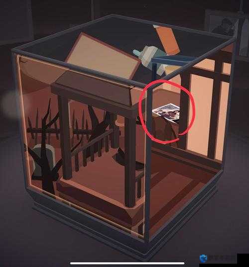 崩溃！全网最全照片位置攻略，错过血亏！笼中窥梦全相册隐藏点大公开