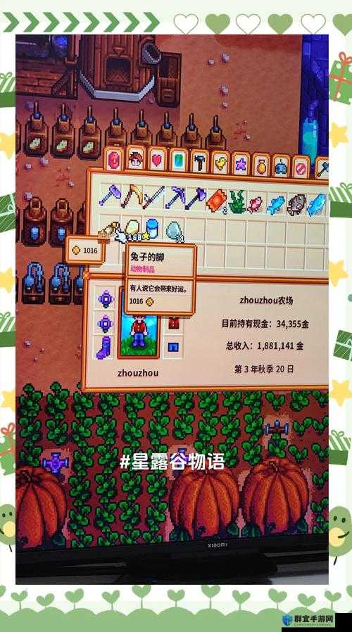 星露谷物语打鸟隐藏福利大揭秘！手把手教你收割暴击彩蛋