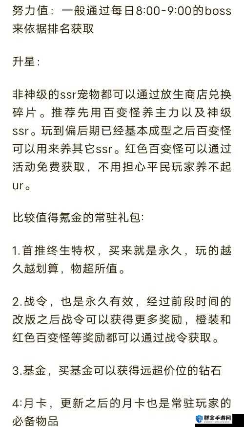 新手必看！零氪党也能轻松上手的前期过渡阵容推荐